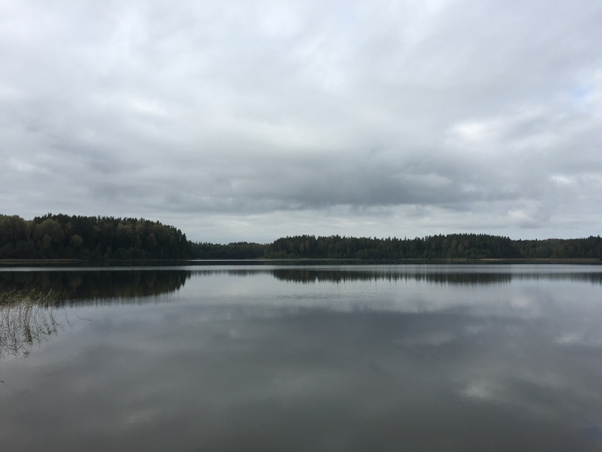 30377599596_23d4794734_o