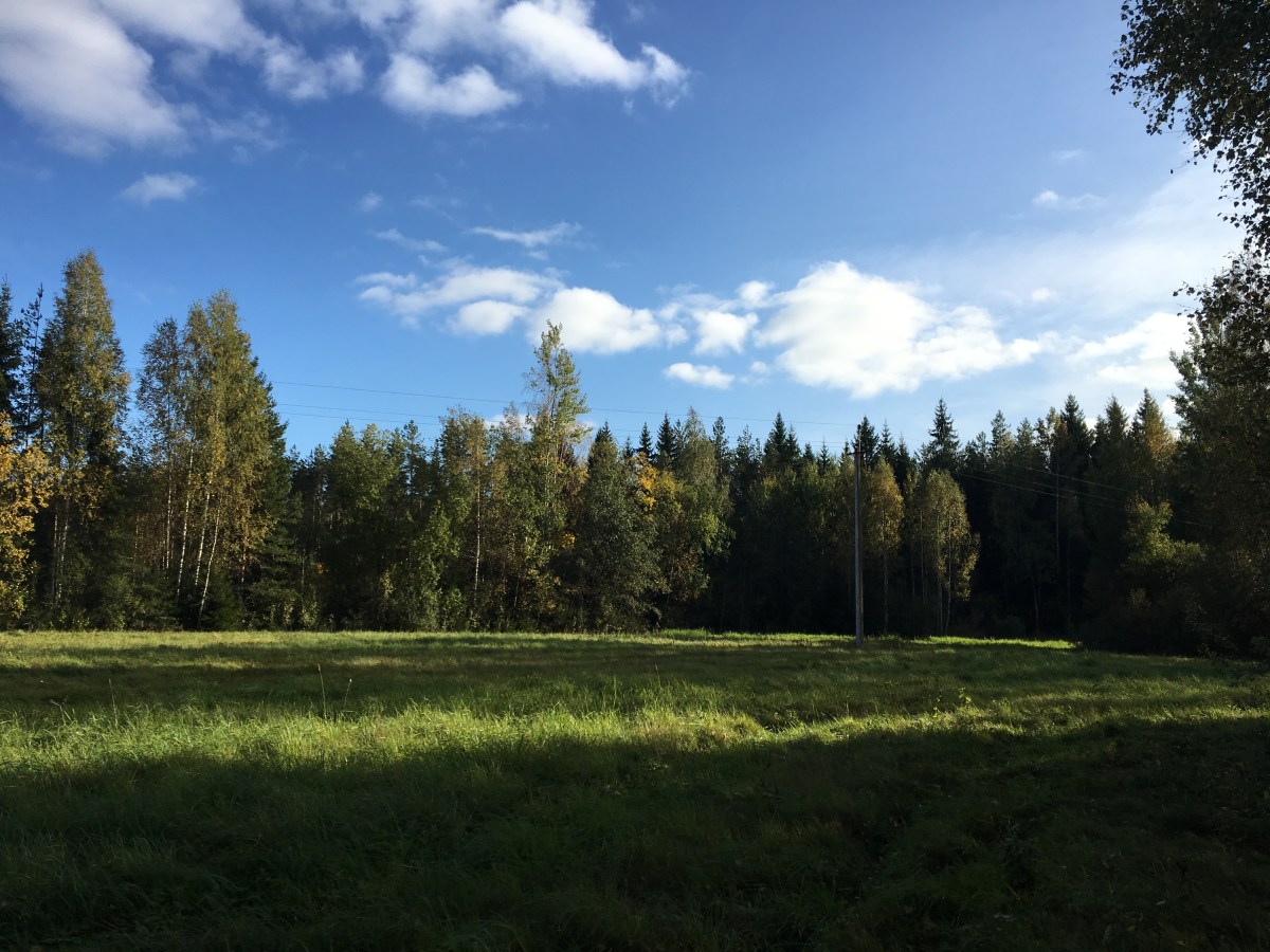 30413876325_f5b505ce0f_o