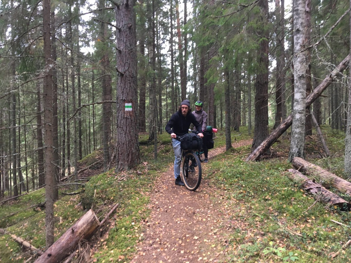 30413882645_cfdab648bd_o