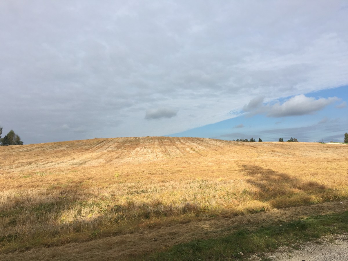 30414083195_46e75e0853_o