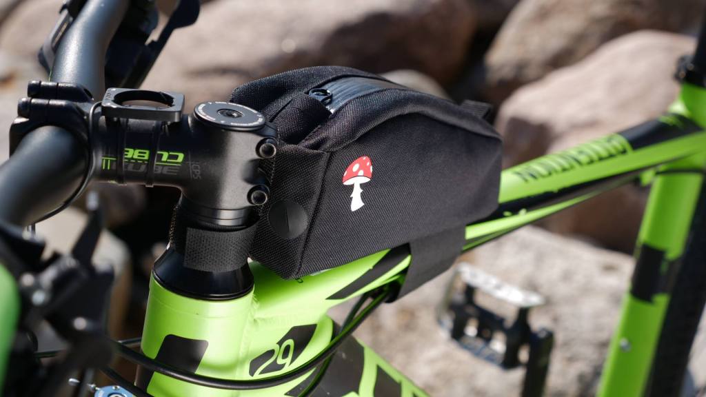 37660306_1128624497276177_1291972831751438336_n