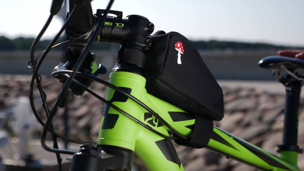 37711329_1128624393942854_4391618143357763584_n