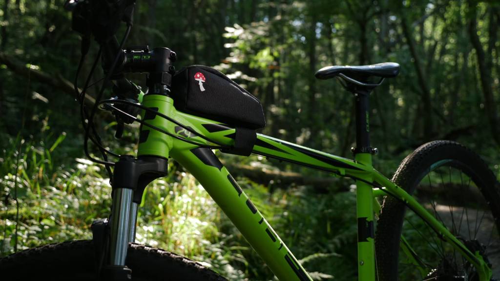 37742971_1128624550609505_1560601325056557056_n