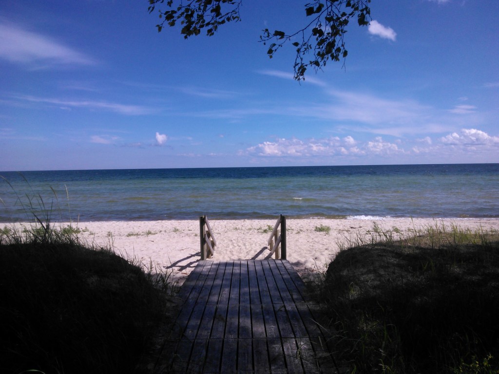 19255474972_ab6bfd94ee_o