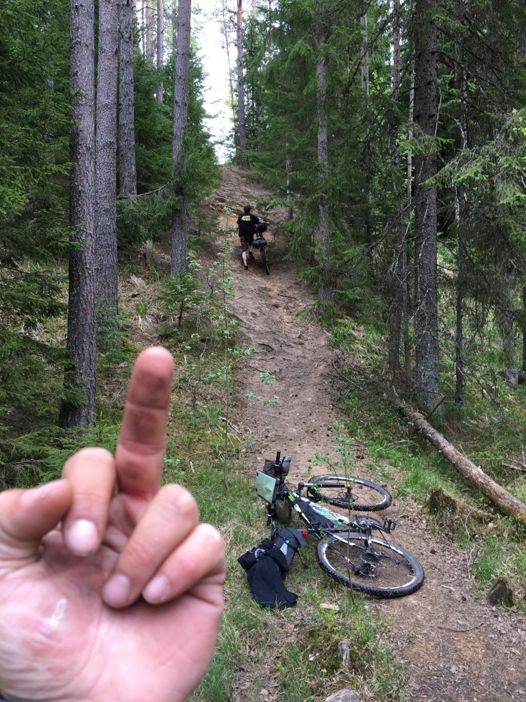 34923763696_573ffec1df_o