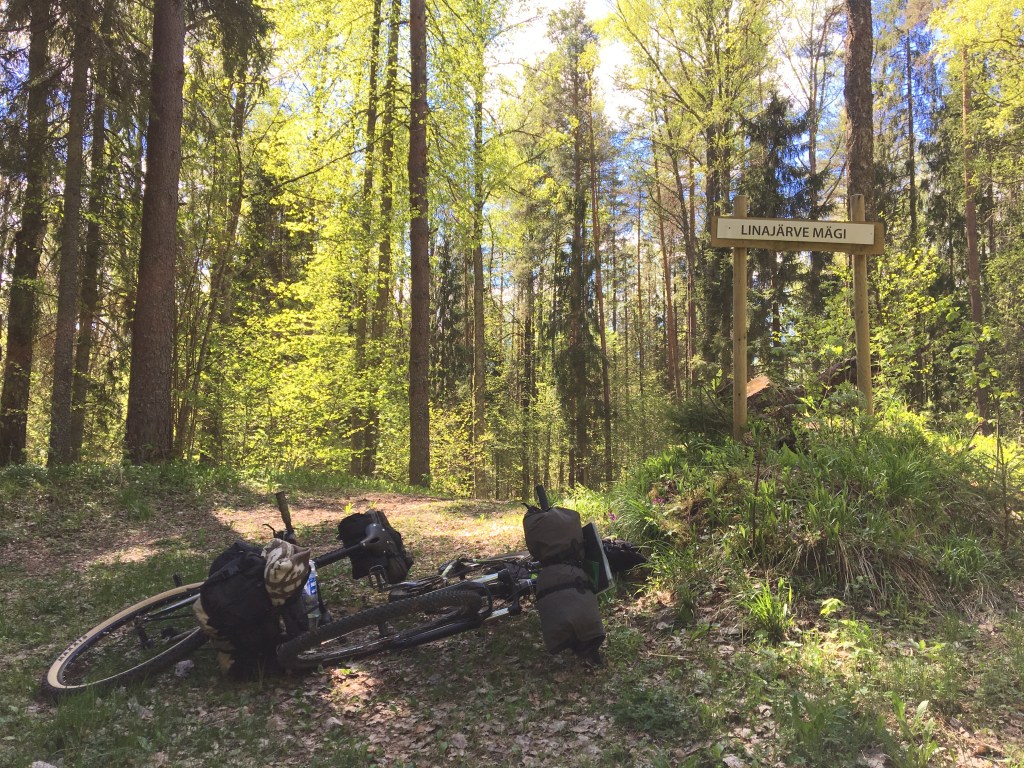 34154539833_a3a8eb6e68_o