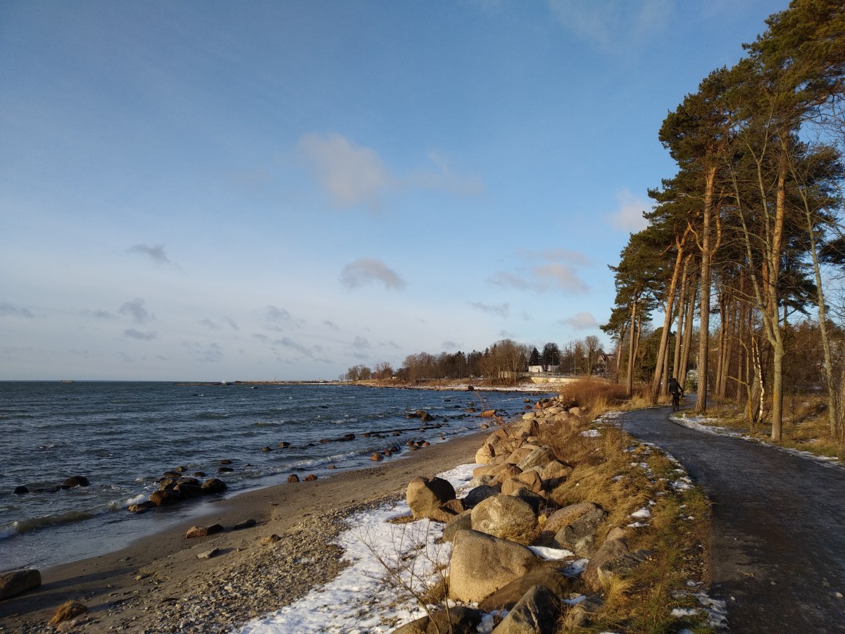 img_20190112_135012_45822123155_o