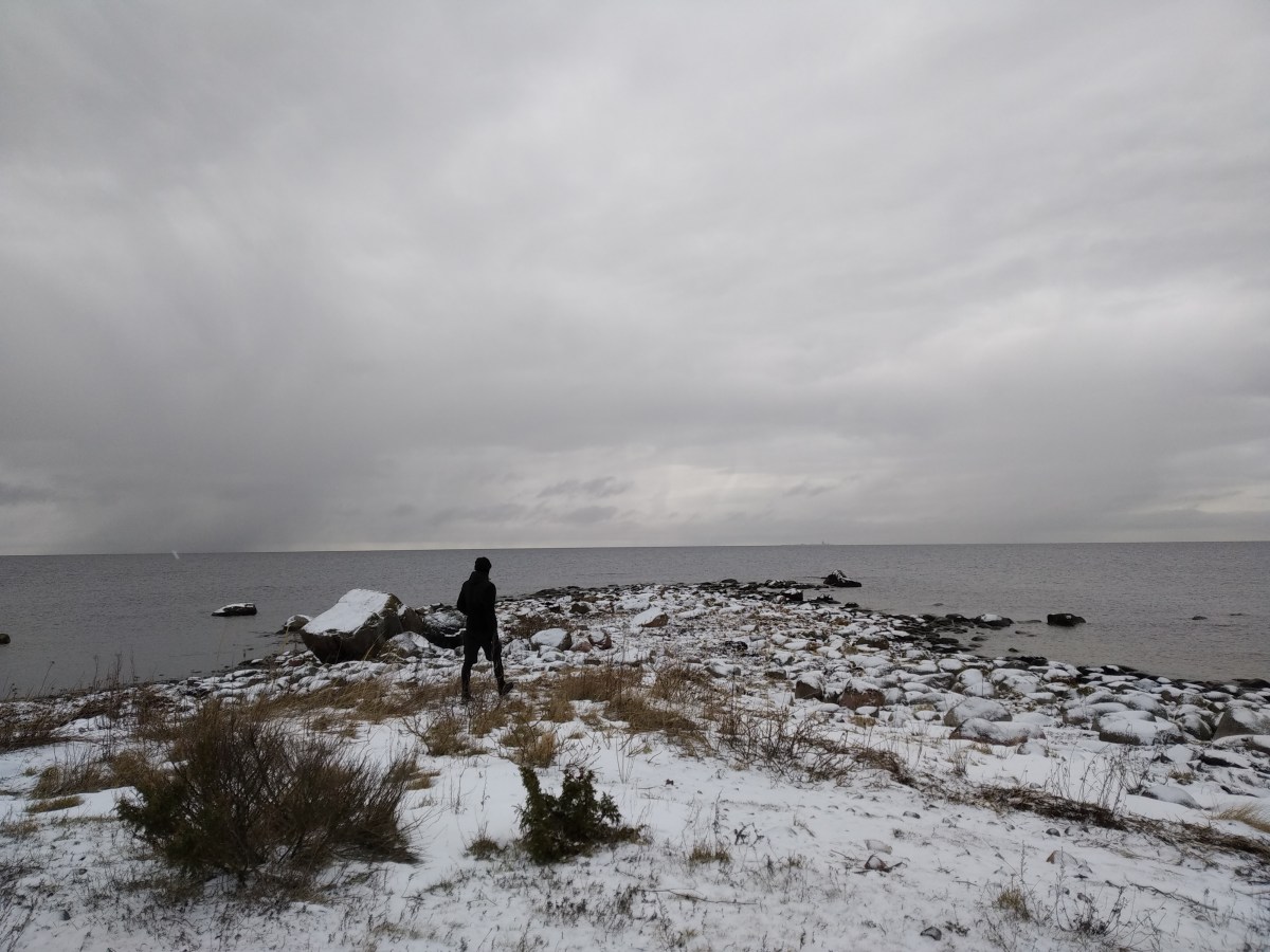 img_20190113_125955_46012865504_o