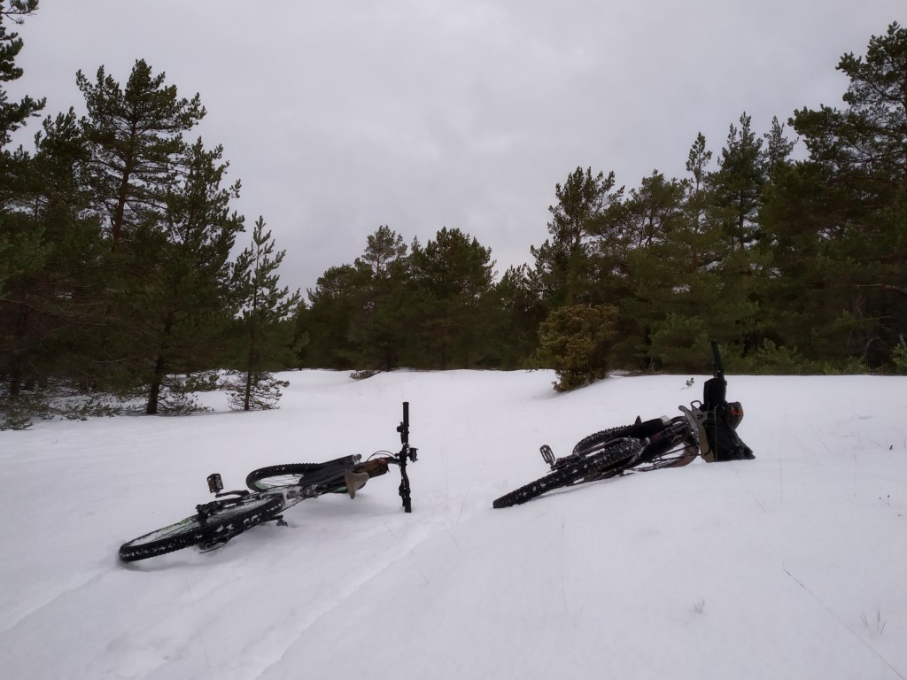 img_20190113_143855_46684942032_o