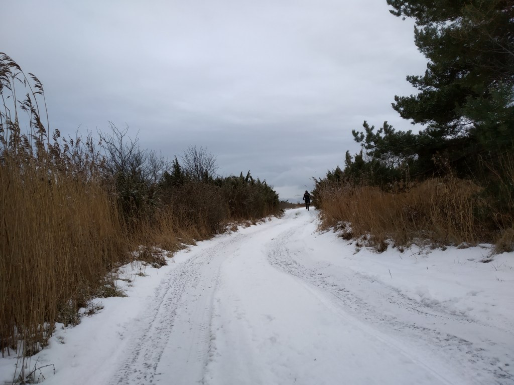 46737689701_6d21dfdb37_o