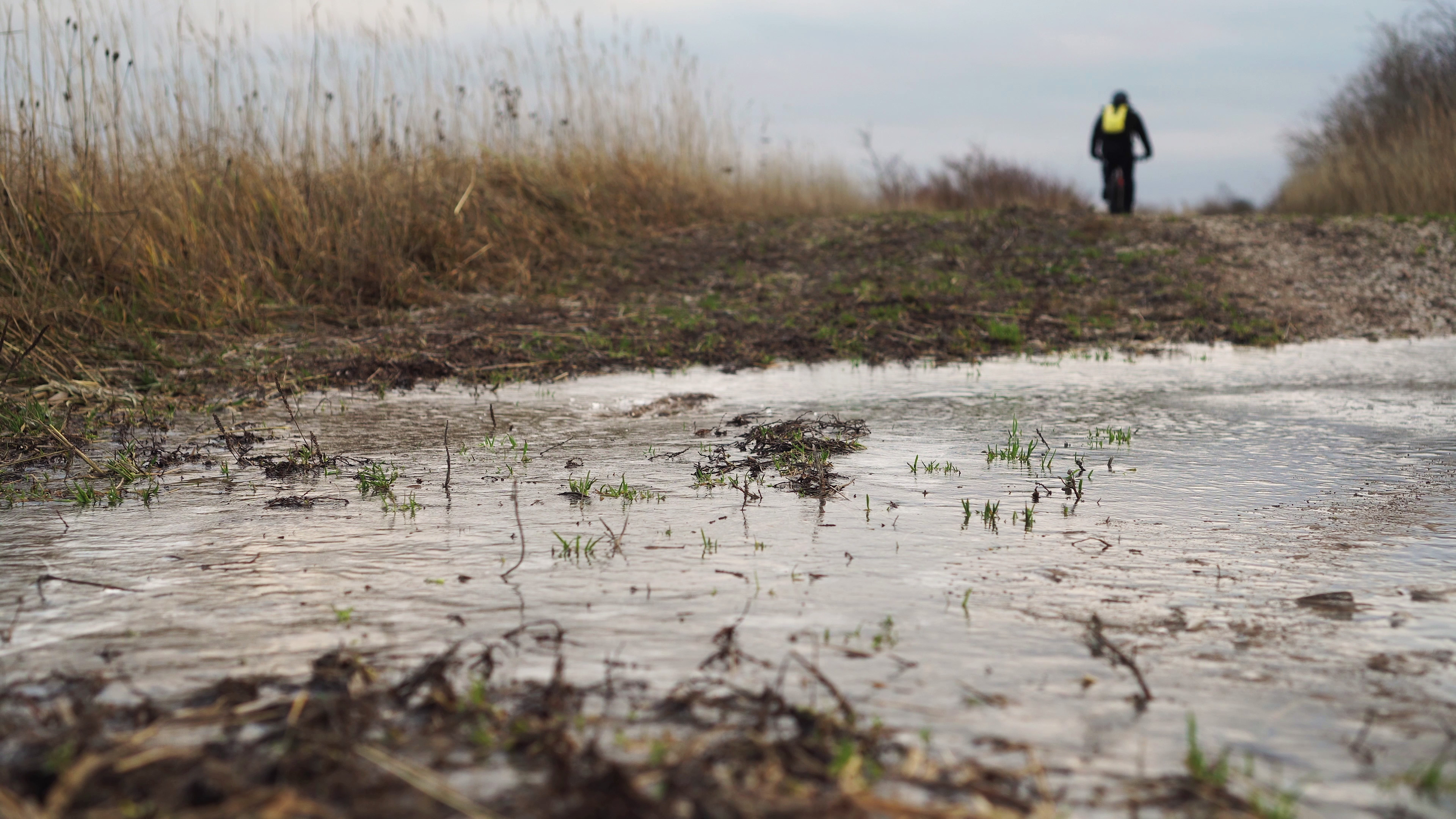 vlcsnap-2020-01-10-14h08m43s911