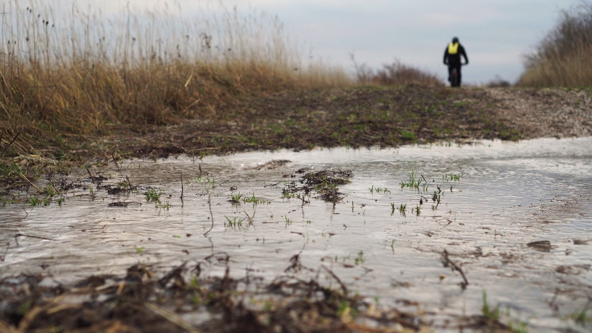 vlcsnap-2020-01-10-14h08m43s911