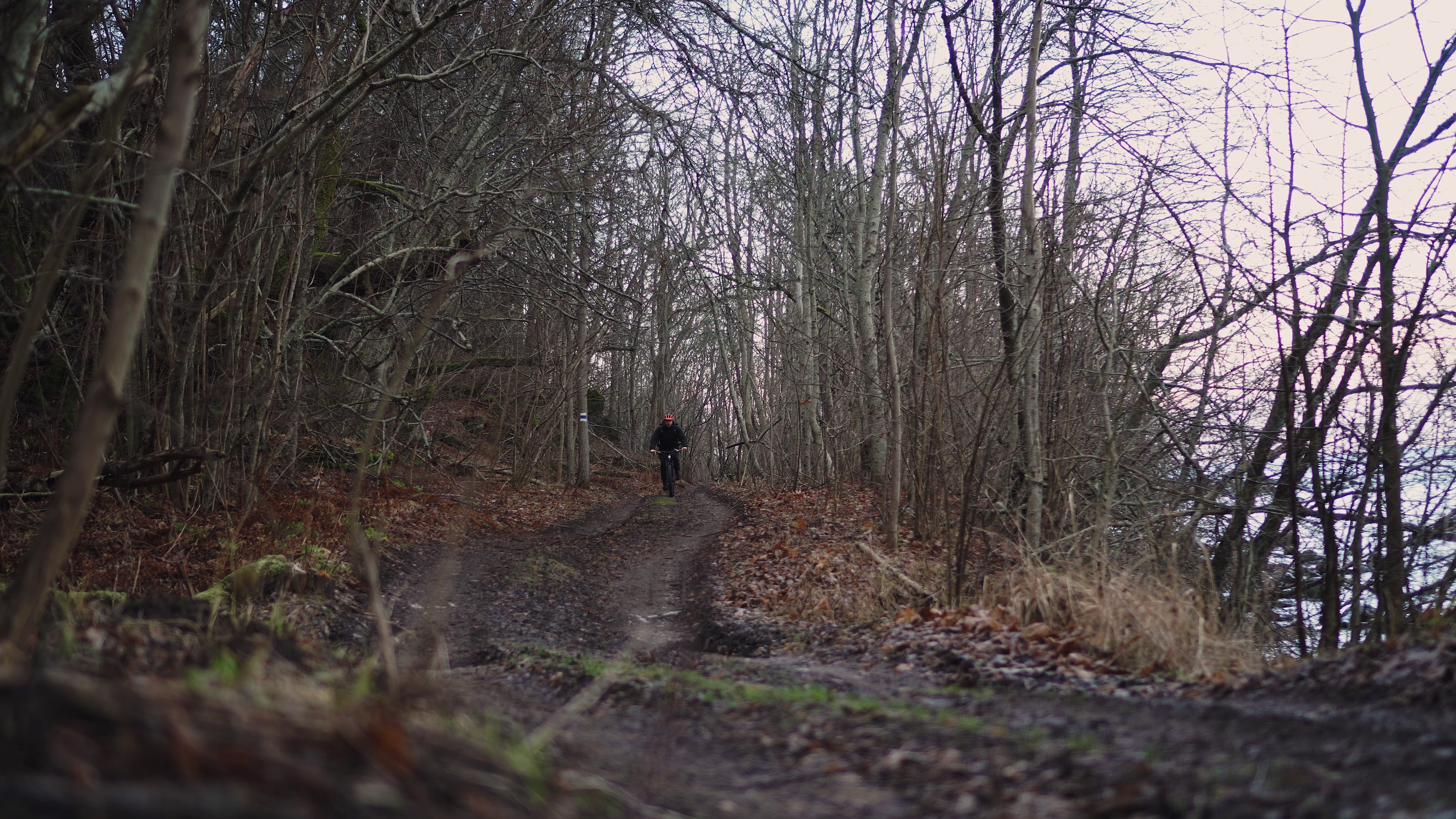 vlcsnap-2020-01-10-14h08m54s397