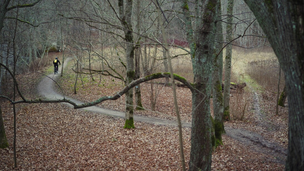 vlcsnap-2020-01-10-14h11m25s751