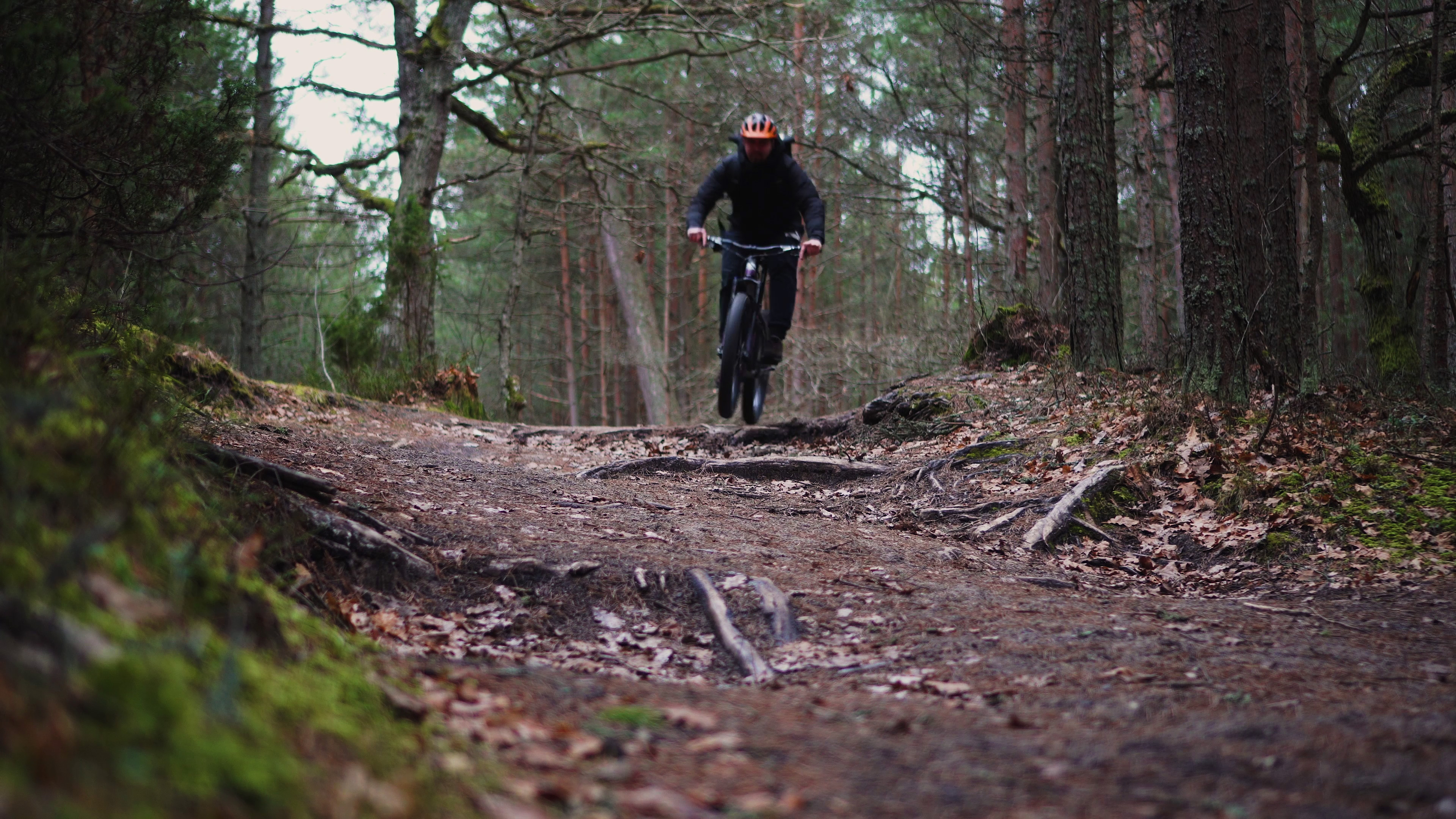 vlcsnap-2020-01-10-14h12m11s399