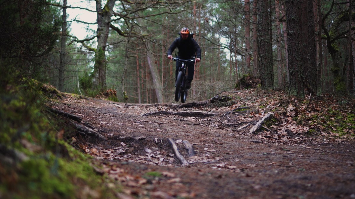 vlcsnap-2020-01-10-14h12m11s399