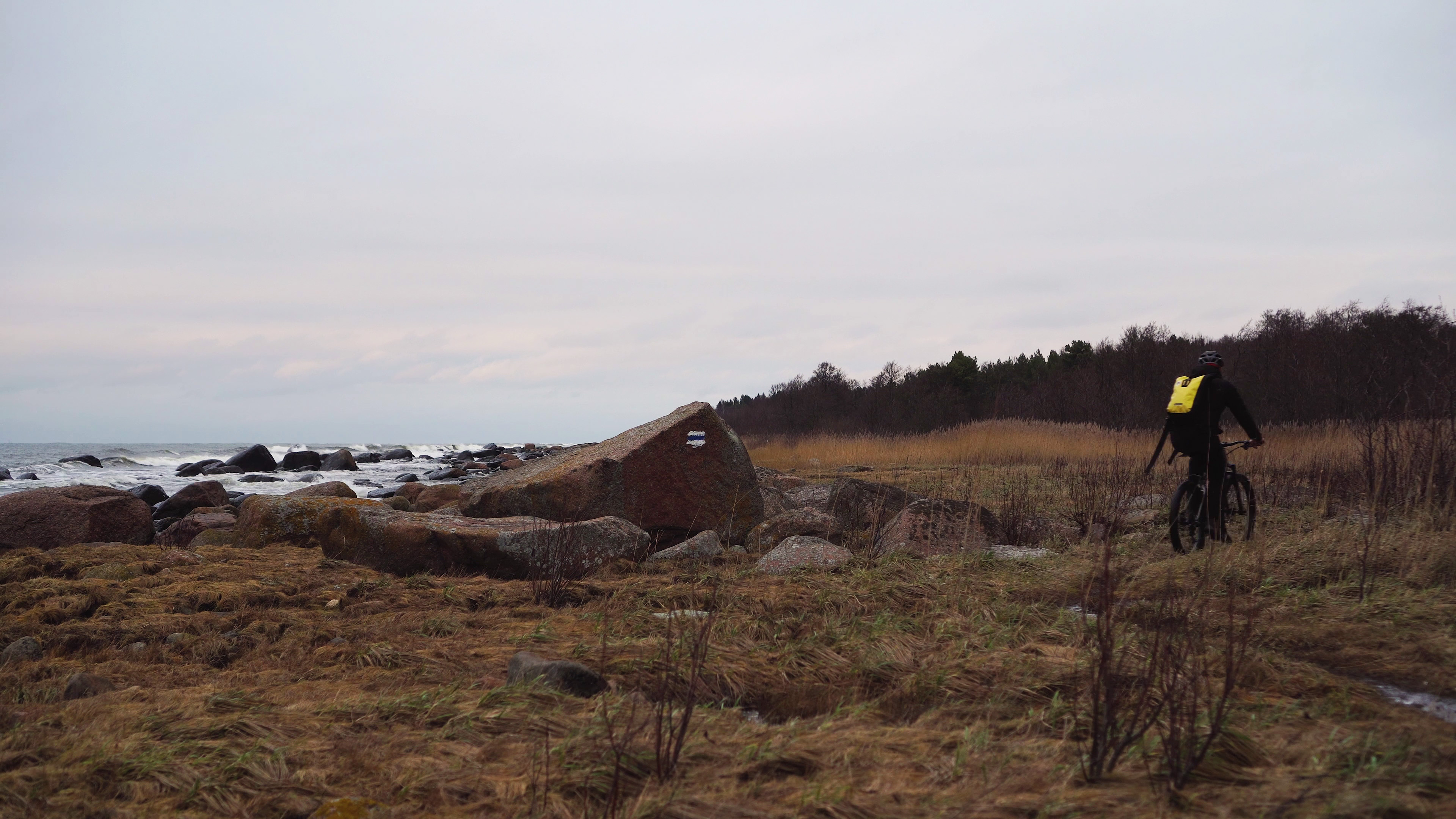 vlcsnap-2020-01-10-14h13m10s679