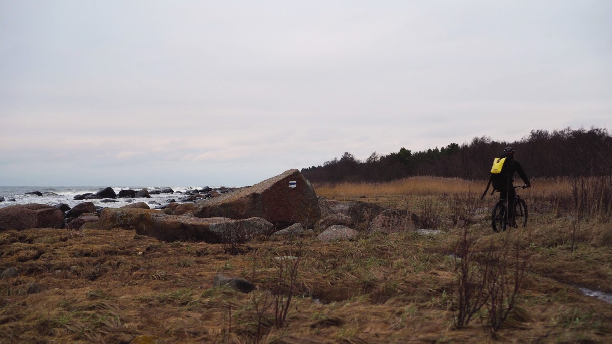 vlcsnap-2020-01-10-14h13m10s679