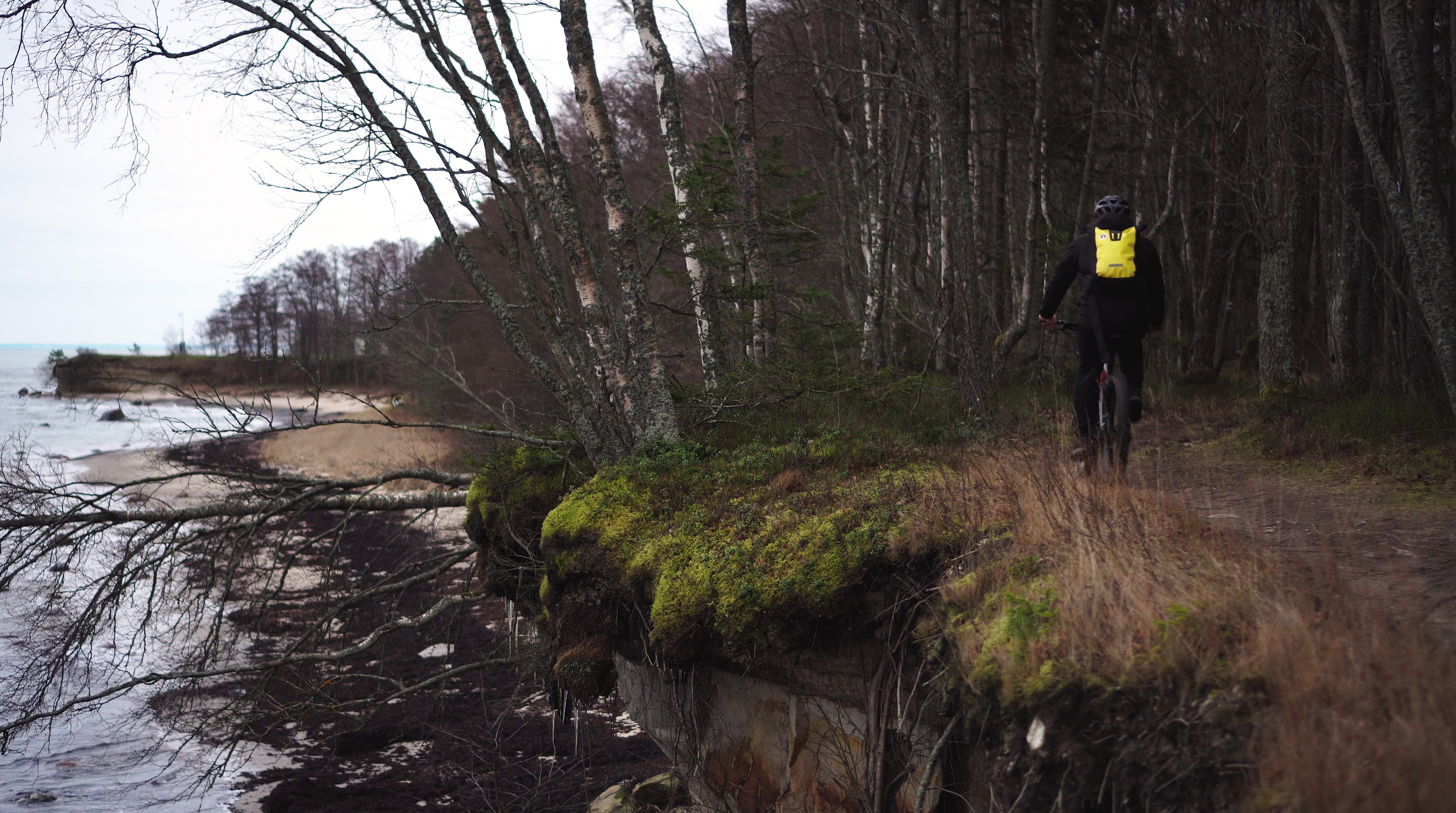 vlcsnap-2020-01-10-14h13m26s539